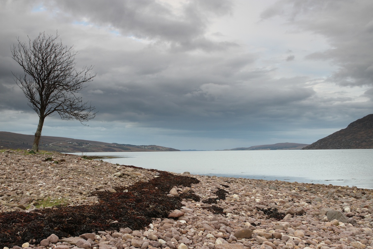 Scottish Landscape 08