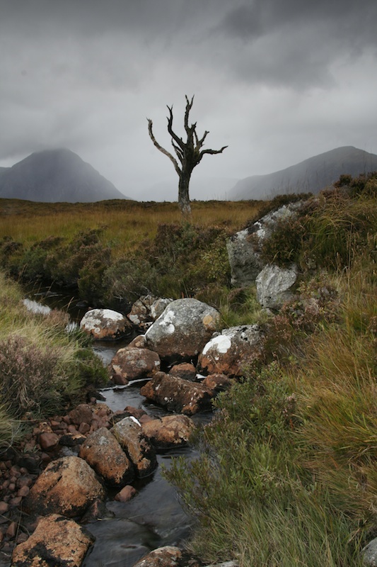 Scottish Landscape 12