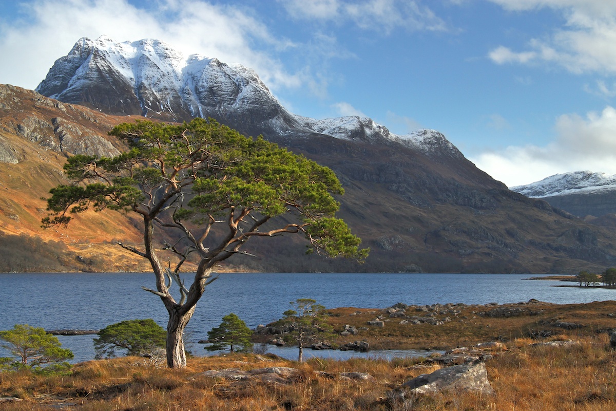 Scottish Landscape 11